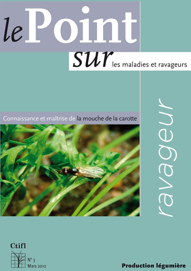 Ravageur : connaissance et maîtrise de la mouche de la carotte