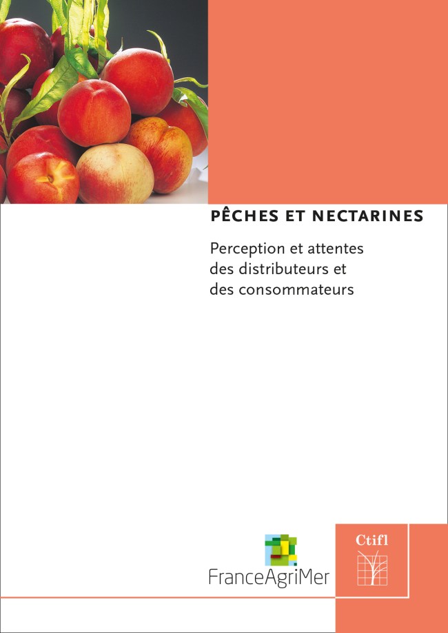 Pêches et nectarine - Perception des distributeurs et des consommateurs