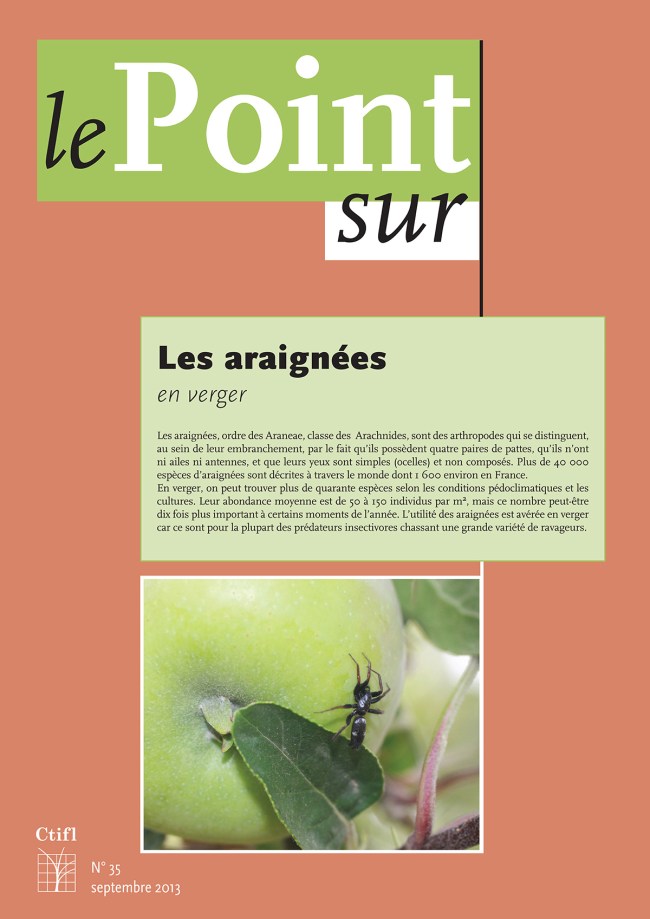 Les araignées en verger Les araignées en verger