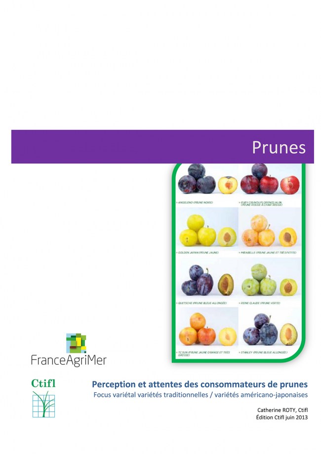 Perception et attentes des consommateurs : focus variétal variétés traditionnelles / variétés américano-japonaises Perception et attentes des consommateurs : focus variétal variétés traditionnelles / variétés américano-japonaises