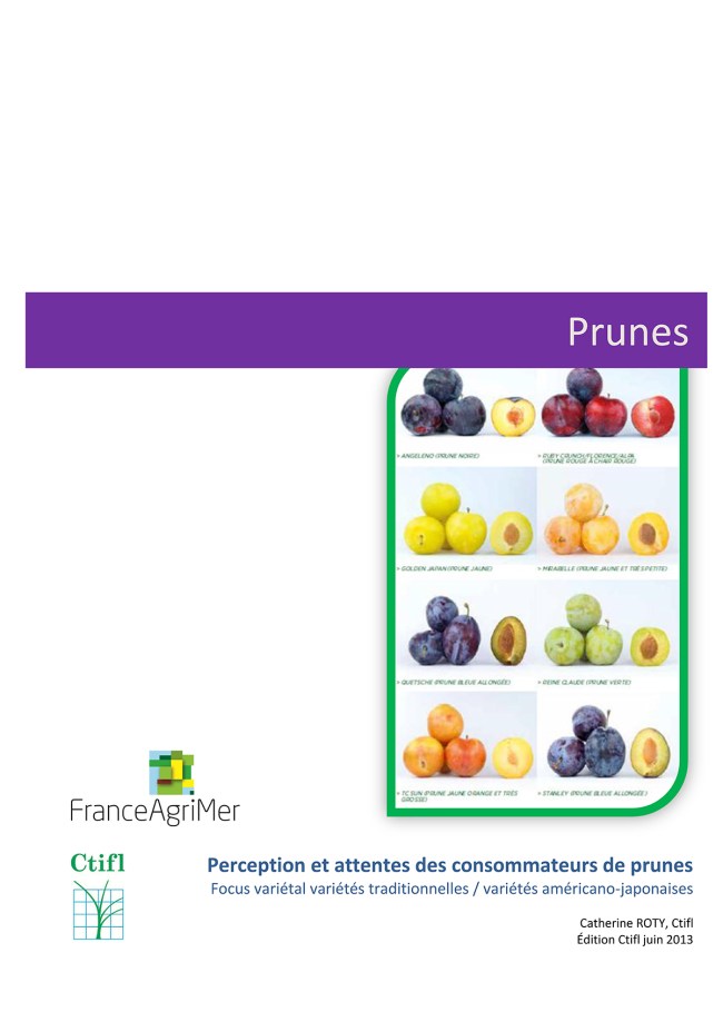 Perception et attentes des consommateurs : focus variétal variétés traditionnelles / variétés américano-japonaises