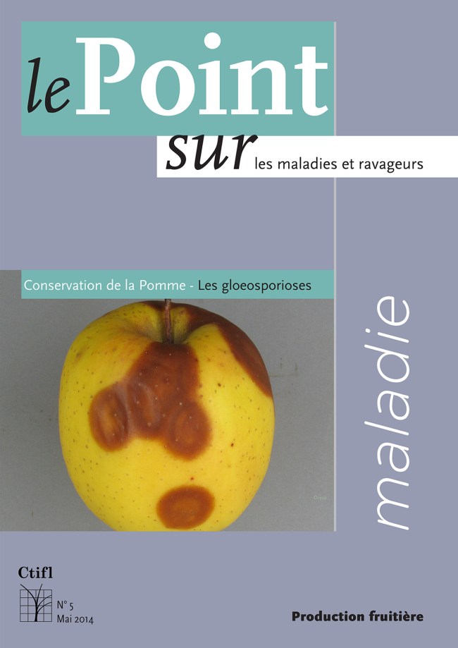 Maladie : conservation de la pomme - Les gloeosporioses