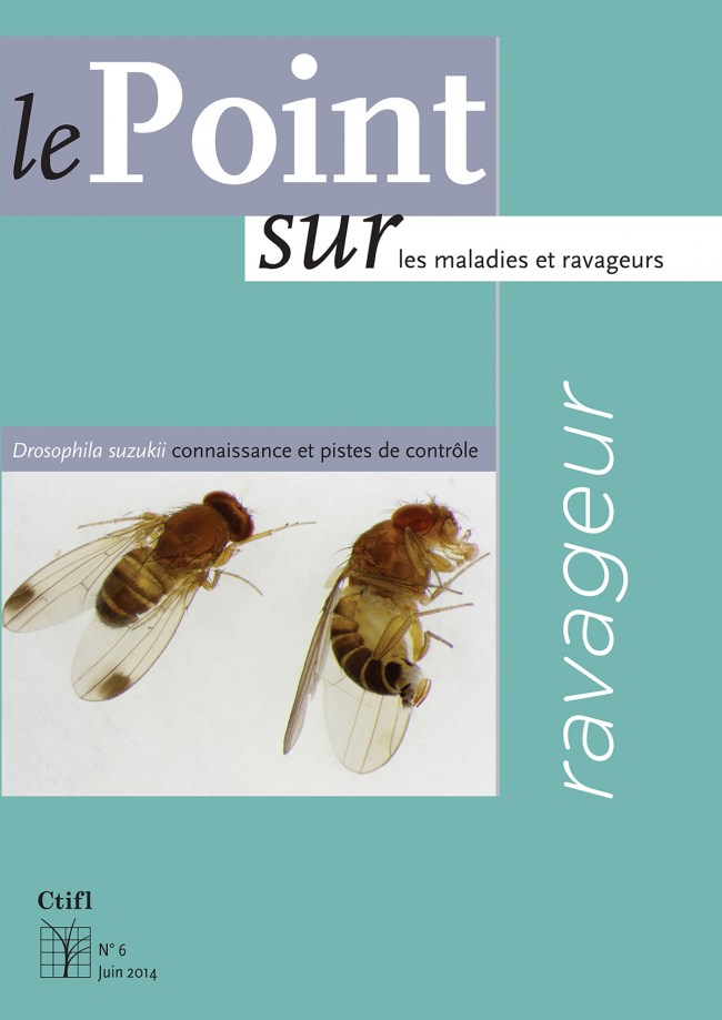 Ravageur : Drosophila suzikii, connaissance et pistes de contrôle