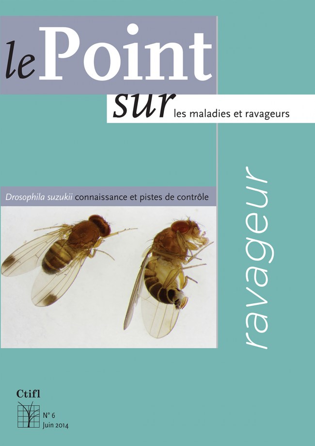 Ravageur : Drosophila suzikii, connaissance et pistes de contrôle Ravageur : Drosophila suzikii, connaissance et pistes de contrôle