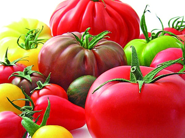 La segmentation des tomates, quelles nouveautés ?