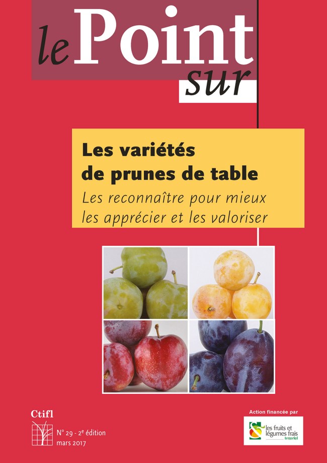 Les variétés de prunes de table : les reconnaître pour mieux les apprécier et les valoriser Les variétés de prunes de table : les reconnaître pour mieux les apprécier et les valoriser