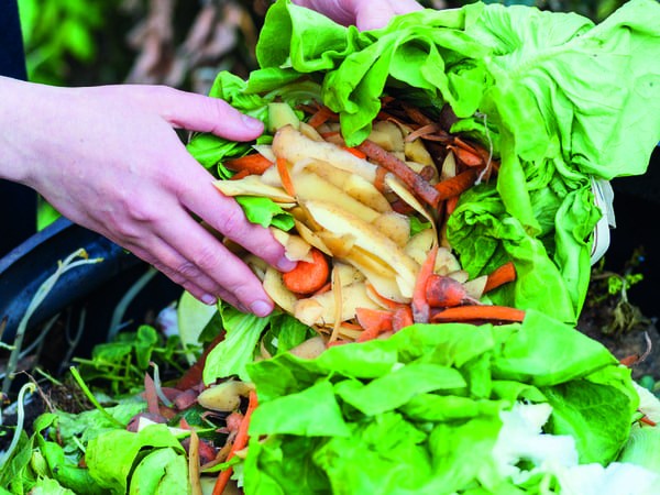 Garantir la qualité des fruits et légumes frais - Radiographie des pertes après la récolte