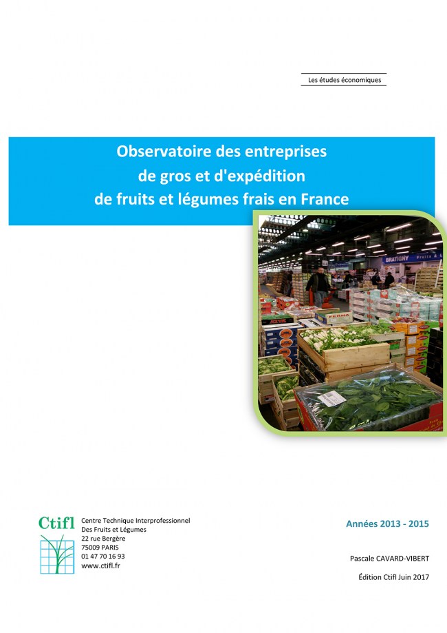 Observatoire des entreprises de gros et d’expédition en France 2013-2015