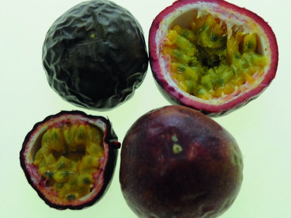Le fruit passion(nément) tropical