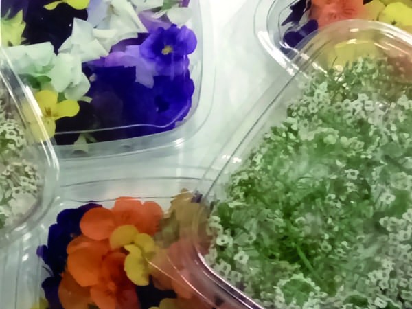 Les fleurs comestibles, un potentiel exotique