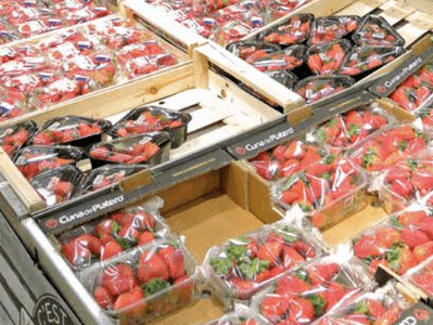 Intérêt des emballages biosourcés innovants - Essais CTIFL sur la fraise préemballée