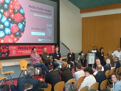 Journée Technique Nationale - Petits Fruits Rouges - Marché en plein essor et enjeux techniques