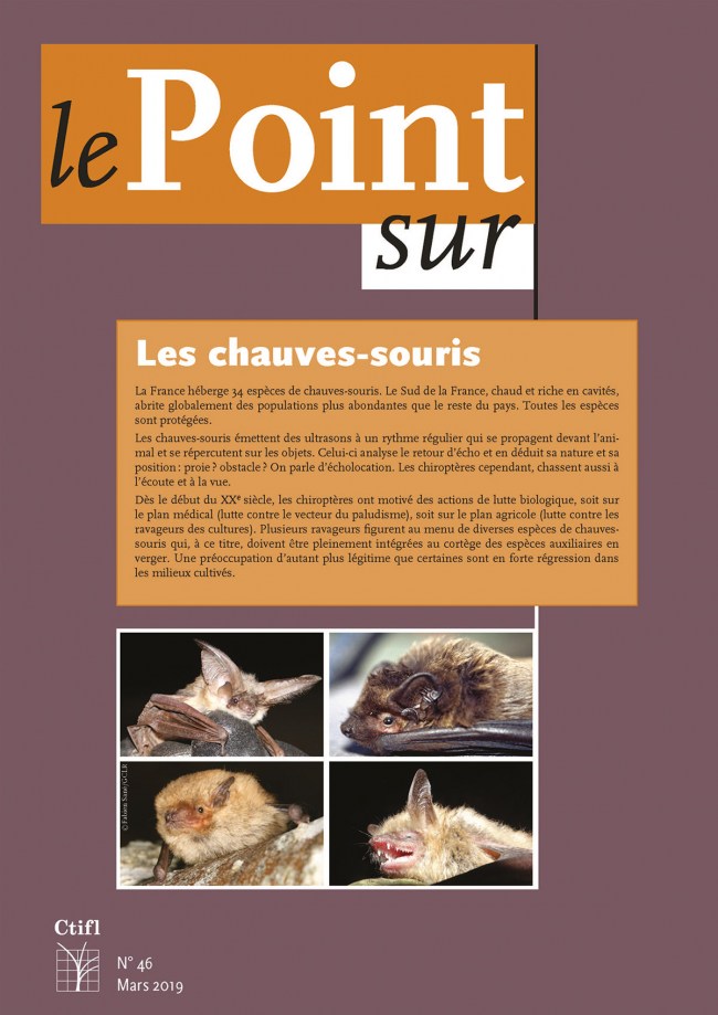 Les chauves-souris Les chauves-souris