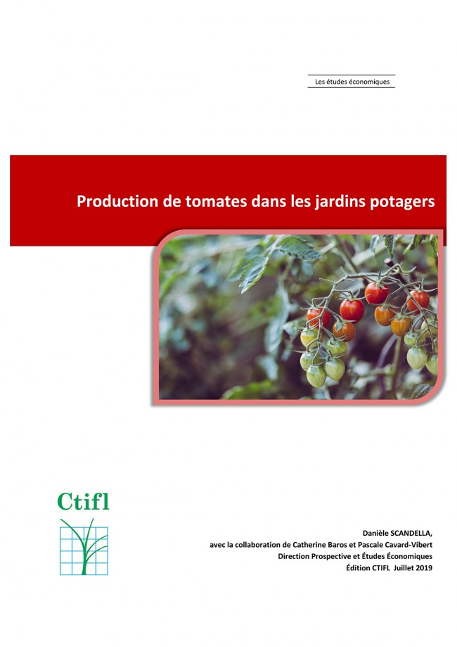 Production de tomates dans les jardins potagers