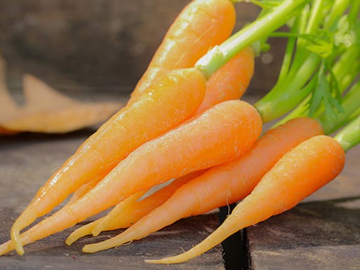 Les mini-légumes dans la cour des grands !