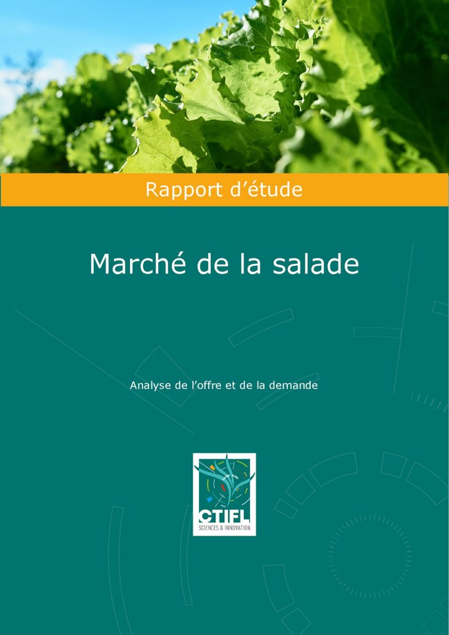 Marché de la salade : analyse de l'offre et de la demande