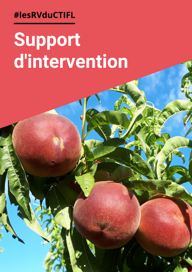 Présentation variétale pêche nectarine Présentation variétale pêche nectarine