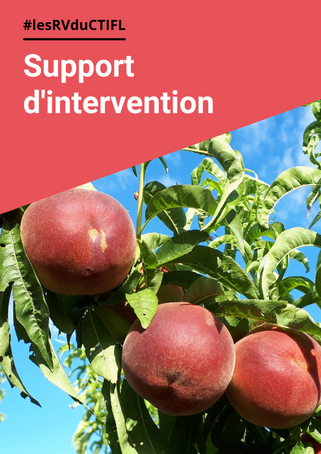 Présentation variétale pêche nectarine Présentation variétale pêche nectarine