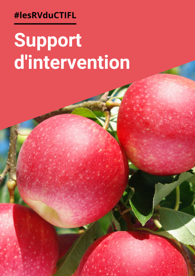 Achats de pomme des ménages : des variétés pour tous les goûts Achats de pomme des ménages : des variétés pour tous les goûts
