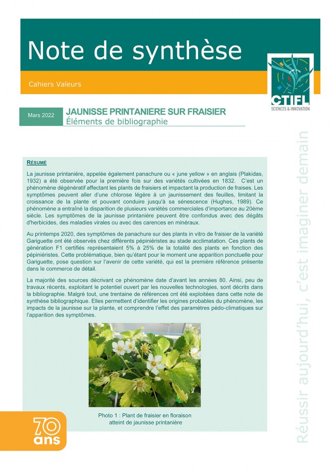 Jaunisse printanière sur fraisier : éléments de bibliographie Jaunisse printanière sur fraisier : éléments de bibliographie