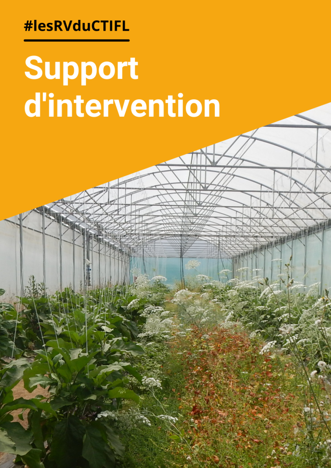 Élaboration des qualités du melon en fonction du choix variétal, de la conduite et des modalités de stockage post-récolte - Projet DIMABEL Élaboration des qualités du melon en fonction du choix variétal, de la conduite et des modalités de stockage post-récolte - Projet DIMABEL