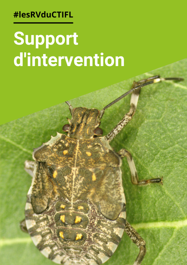 Efficacité de stratégies avec l’argile contre Drosophila suzukii