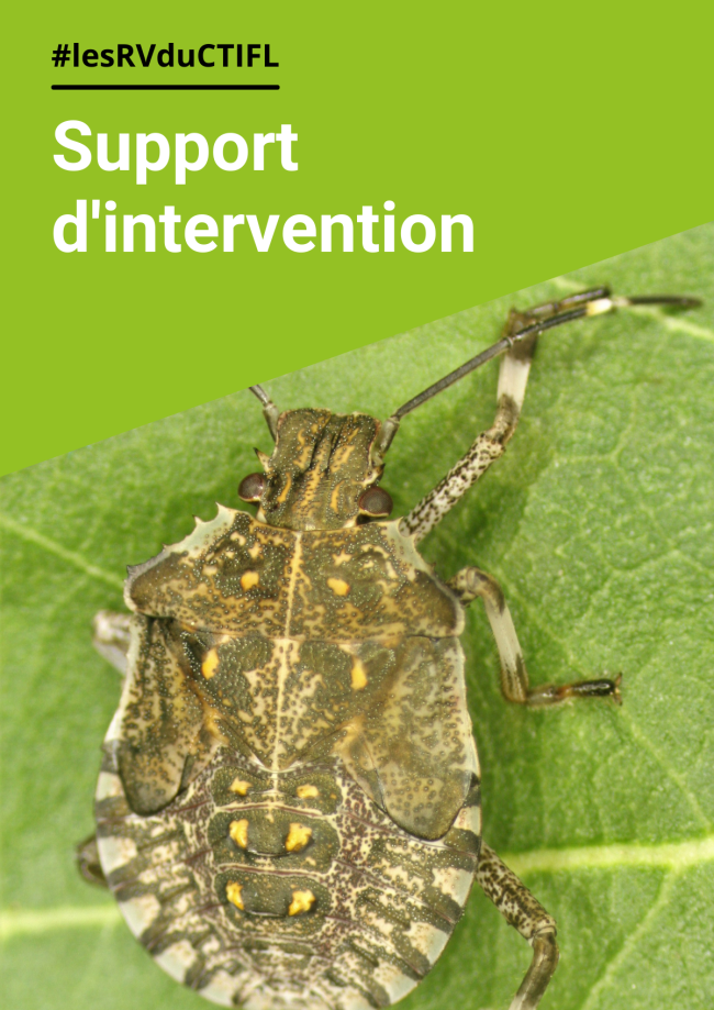 Intégrer la Technique de l’Insecte Stérile (TIS) dans les systèmes de protection des cultures fruitières en s’inspirant de l’étranger Intégrer la Technique de l’Insecte Stérile (TIS) dans les systèmes de protection des cultures fruitières en s’inspirant de l’étranger