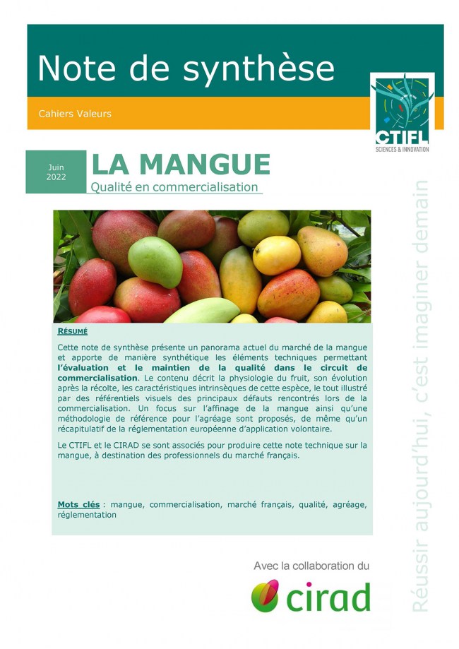 La mangue : qualité en commercialisation La mangue : qualité en commercialisation
