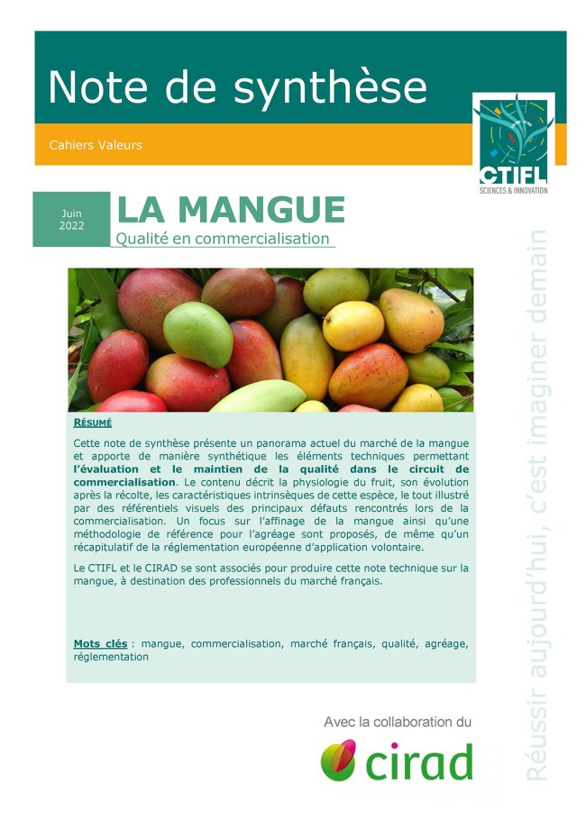 La mangue : qualité en commercialisation La mangue : qualité en commercialisation