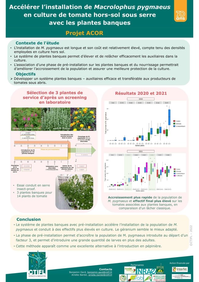 Atelier 4 - Poster - Accélérer l'installation de Macrolophus pygmaeus en culture de tomate hors-sol sous serre avec les plantes banques. Projet ACOR