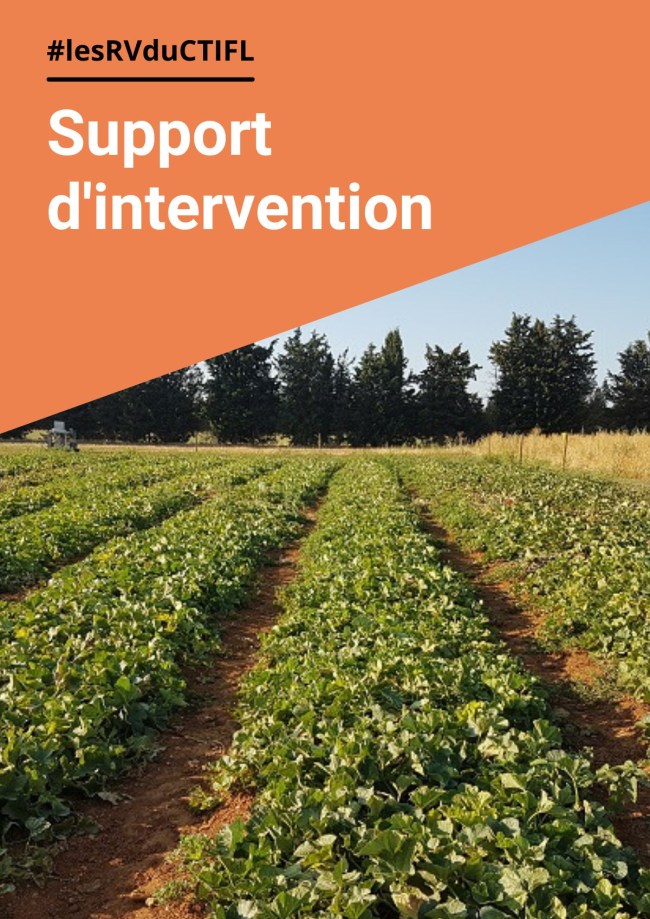 Réduire et arrêter le travail du sol, un changement systémique : retours d'expériences du GIEE MSV Drôme-Ardèche