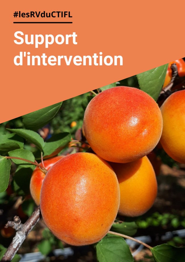 Performances agronomiques et qualitatives des variétés d’abricot