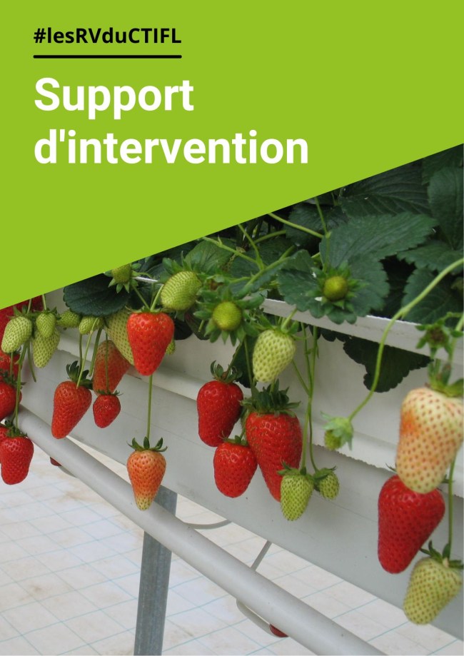 Situation des usages phytosanitaire en fraise et analyse comparative avec les principaux états membres producteurs
