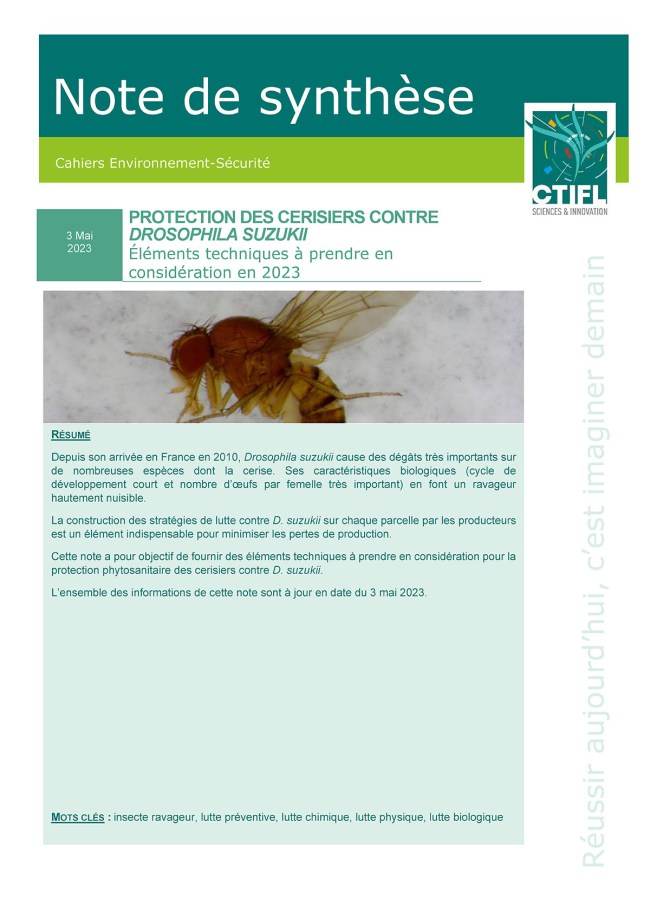 Protection des cerisiers contre Drosophila Suzukii : éléments techniques à prendre en considération en 2023 Protection des cerisiers contre Drosophila Suzukii : éléments techniques à prendre en considération en 2023