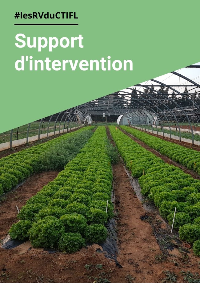 Atelier 2 - Poster - Étude des conséquences des hausses de températures sur le développement et la physiologie des variétés de fraisiers