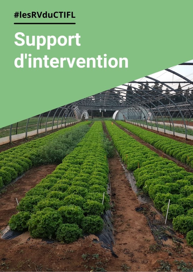 Atelier 5 - Poster - Accompagner l’utilisation des médiateurs chimiques par le développement de<br>stratégies de biocontrôle « push-pull » contre le thrips en cultures sous serre. HEALTHI 2