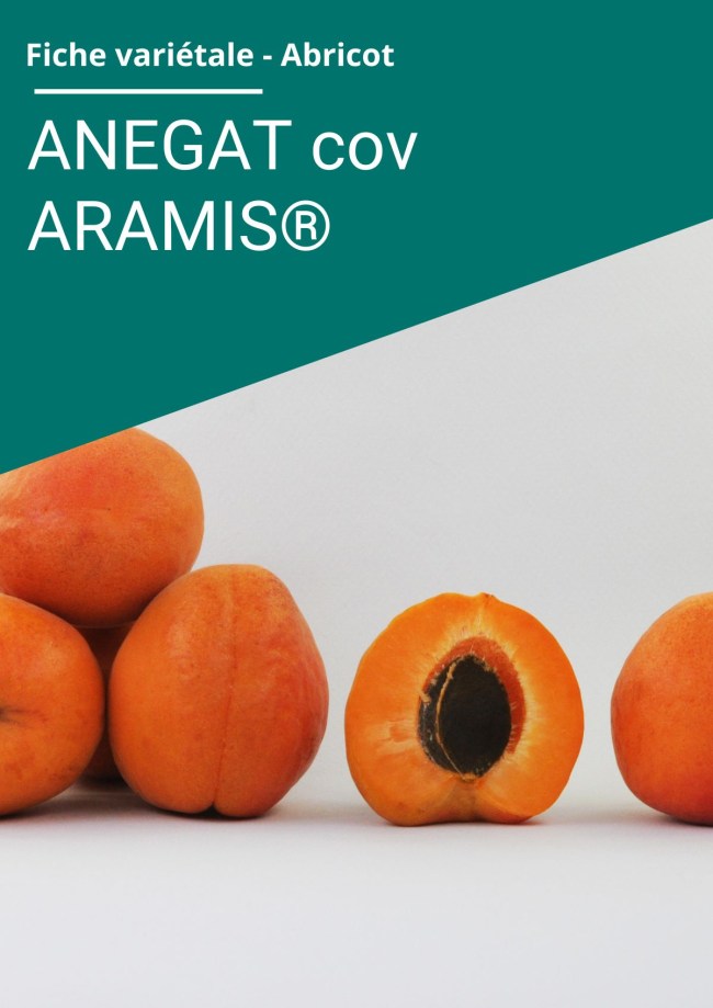 Fiche variétale Abricot - ANEGAT (cov) ARAMIS®