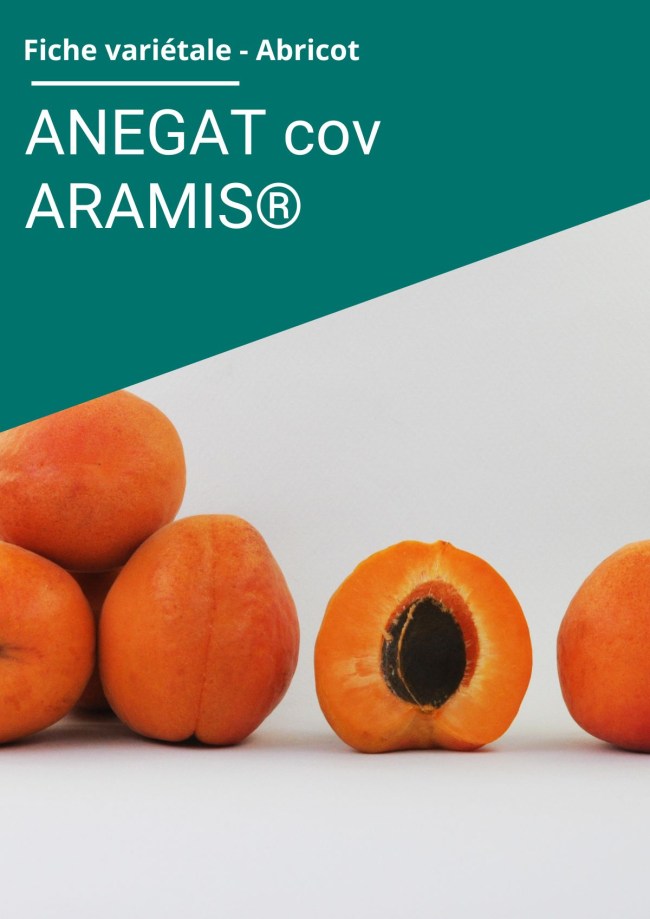 Fiche variétale Abricot - ANEGAT (cov) ARAMIS® Fiche variétale Abricot - ANEGAT (cov) ARAMIS®