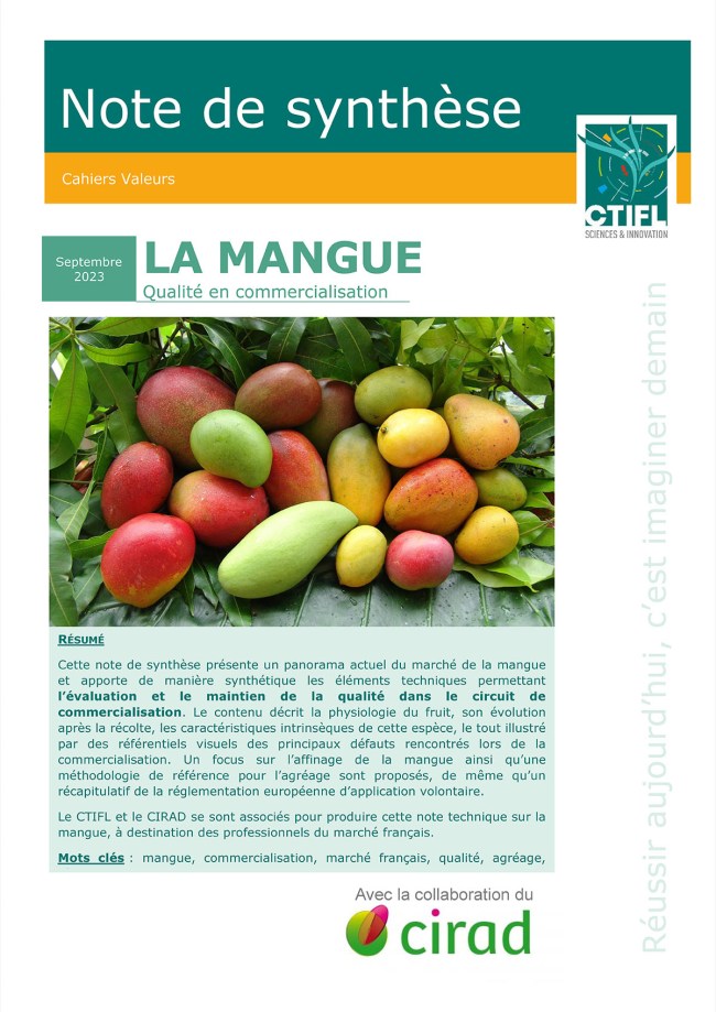 La mangue : qualité en commercialisation