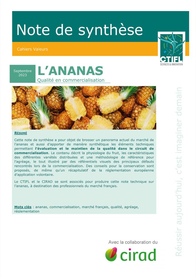 L'ananas : qualité en commercialisation