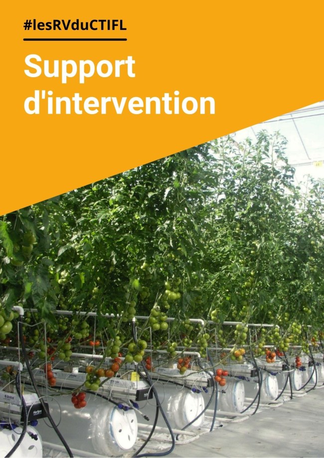 Conditions générales des expérimentations sur tomate en 2023 : compartiments KUBO