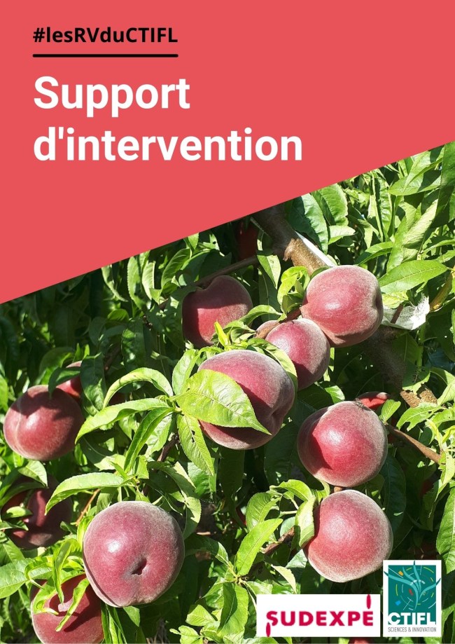 Observations du réseau national d'évaluation pour la campagne 2023 et planning de débourrement, floraison et maturité Observations du réseau national d'évaluation pour la campagne 2023 et planning de débourrement, floraison et maturité