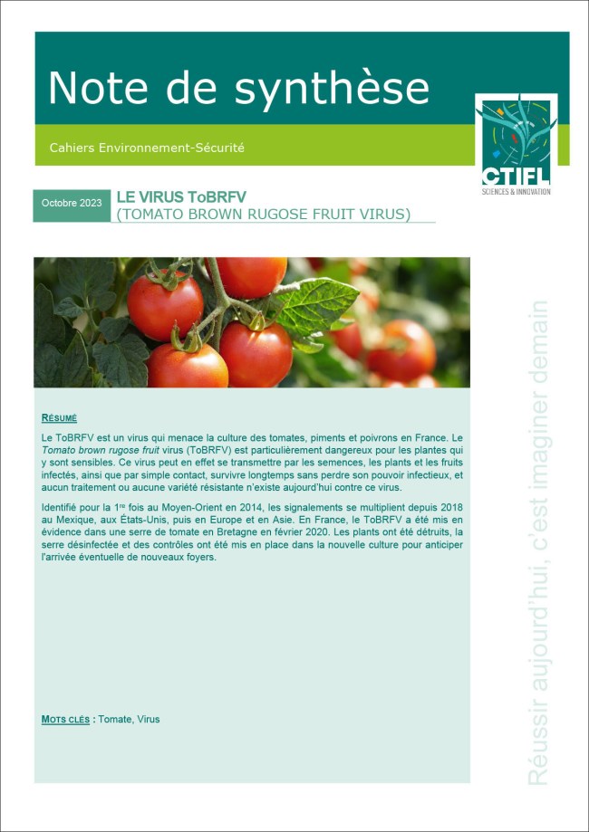 ToBRFV (tomato brown rugose fruit virus) ToBRFV (tomato brown rugose fruit virus)