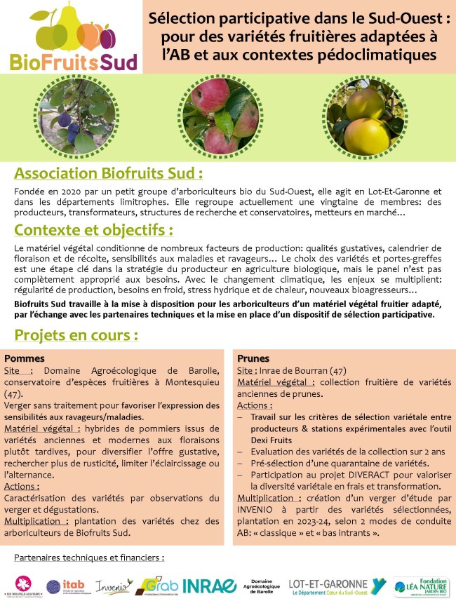 Poster - Sélection participative dans le Sud--Ouest : pour des variétés fruitières adaptées à<br>l’AB et aux contextes pédoclimatiques