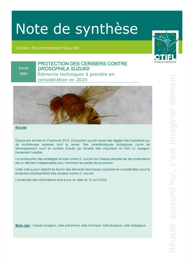 Protection des cerisiers contre Drosophila suzukii : éléments techniques à prendre en considération en 2024