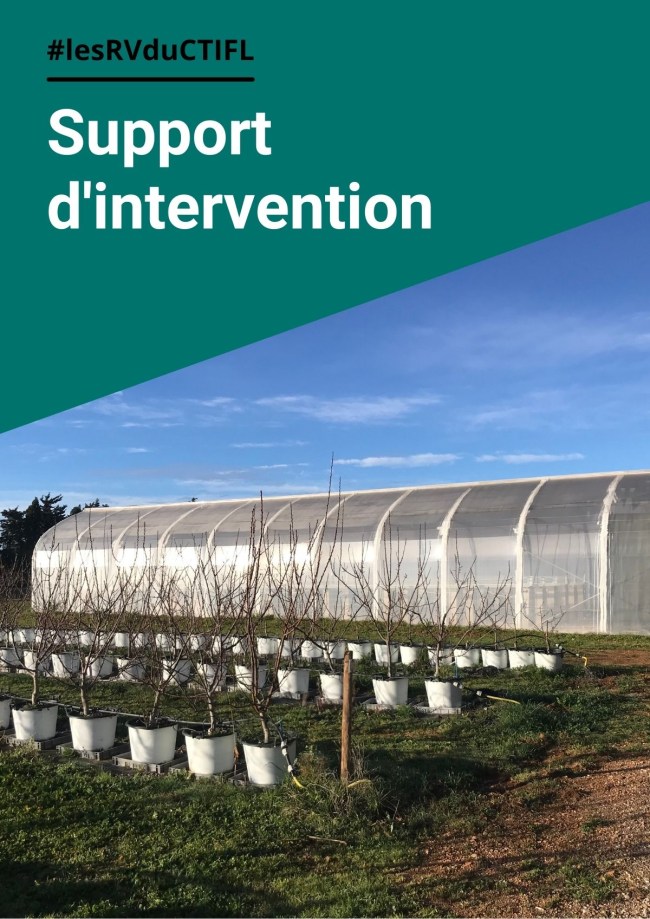 Accompagner l'utilisation des médiateurs chimiques par le développement de stratégies de biocontrôle "push-pull" contre le thrips en cultures sous serre Accompagner l'utilisation des médiateurs chimiques par le développement de stratégies de biocontrôle "push-pull" contre le thrips en cultures sous serre