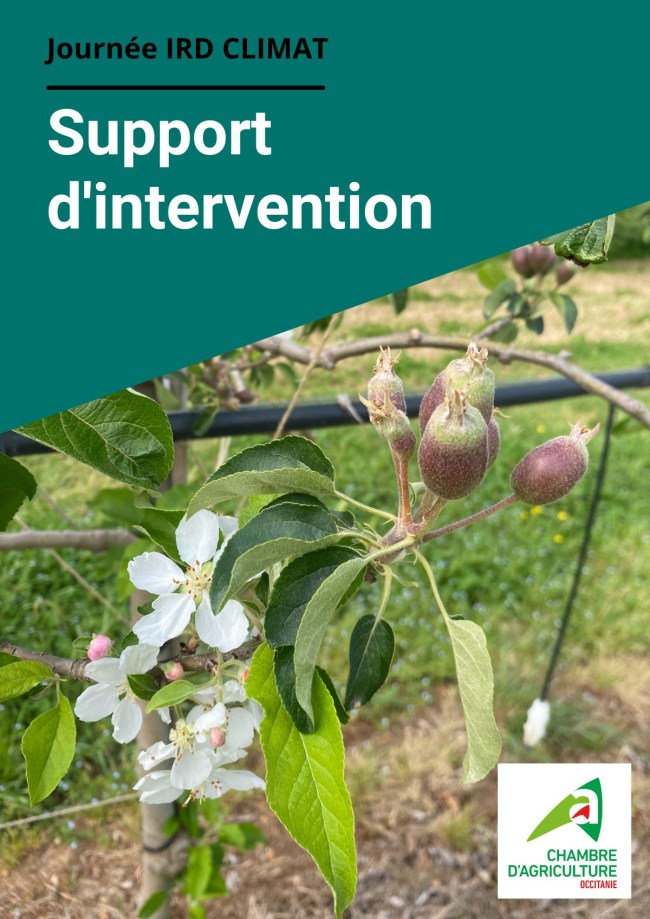 Pomme : évolution des stades phénologiques et évaluation des besoins en froid variétaux Pomme : évolution des stades phénologiques et évaluation des besoins en froid variétaux