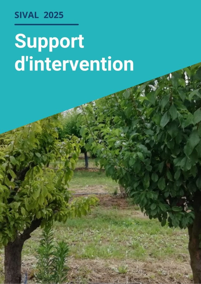 Comment sécuriser et s’affranchir des maladies à virus en arboriculture ? Comment sécuriser et s’affranchir des maladies à virus en arboriculture ?