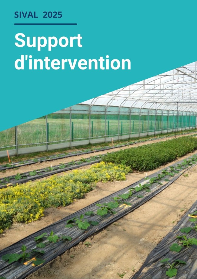 Réguler les pucerons avec des plantes de service : une success story, une piste prometteuses et des pièges à éviter ! Réguler les pucerons avec des plantes de service : une success story, une piste prometteuses et des pièges à éviter !