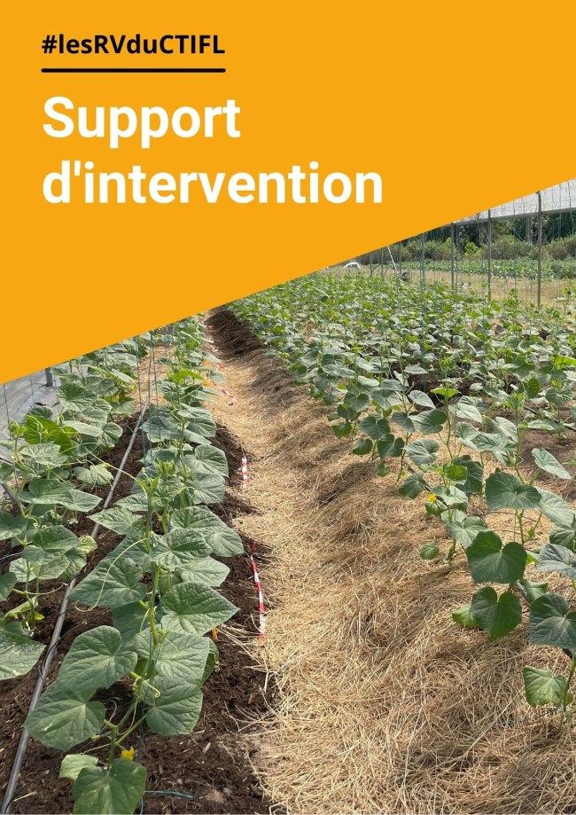Pratiques alternatives aux herbicides en maraîchage de plein champ Pratiques alternatives aux herbicides en maraîchage de plein champ